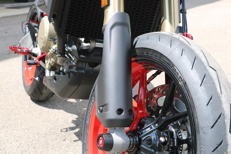 Fork legs protectors Ducati Hypermotard 698 Mono - Carbon