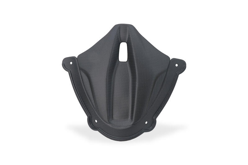 Front Fairing Infill Ducati Panigale V4 - Carbon