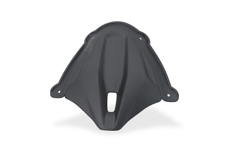 Front Fairing Infill Ducati Panigale V4 - Carbon
