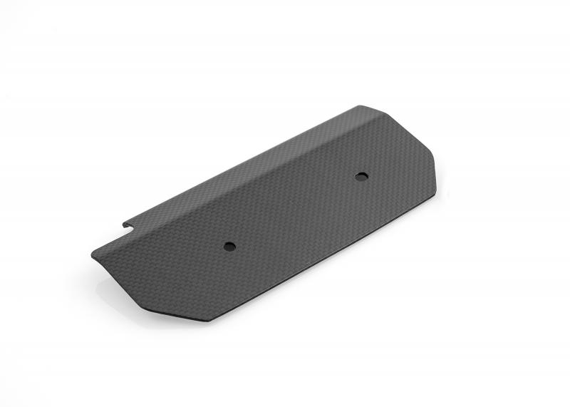 Crankcase protection carbon Ducati